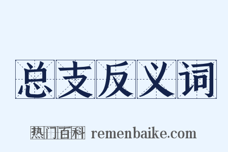 总支反义词是什么意思的图片
